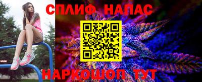 твердый Будённовск