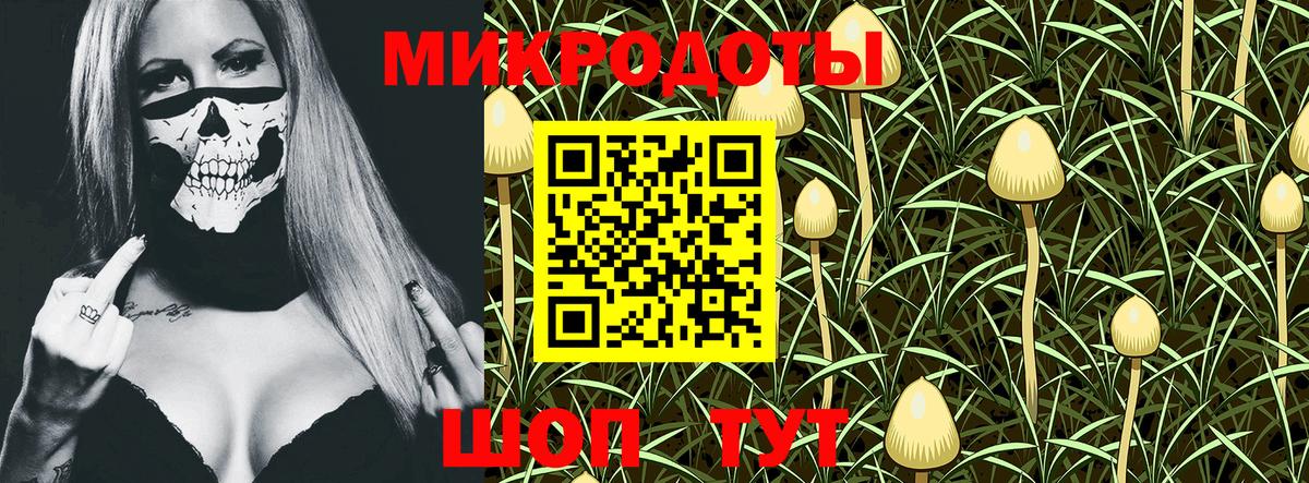 Санкт-Петербург  Галлюциногенные грибы Psilocybine cubensis  Вход с VPN 