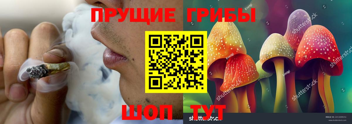 Галлюциногенные грибы мицелий Санкт-Петербург